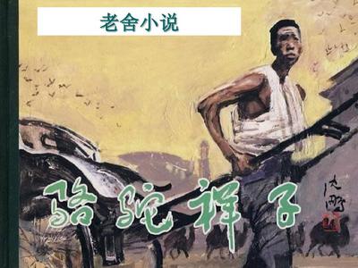 免费看打扑克的视频无打码